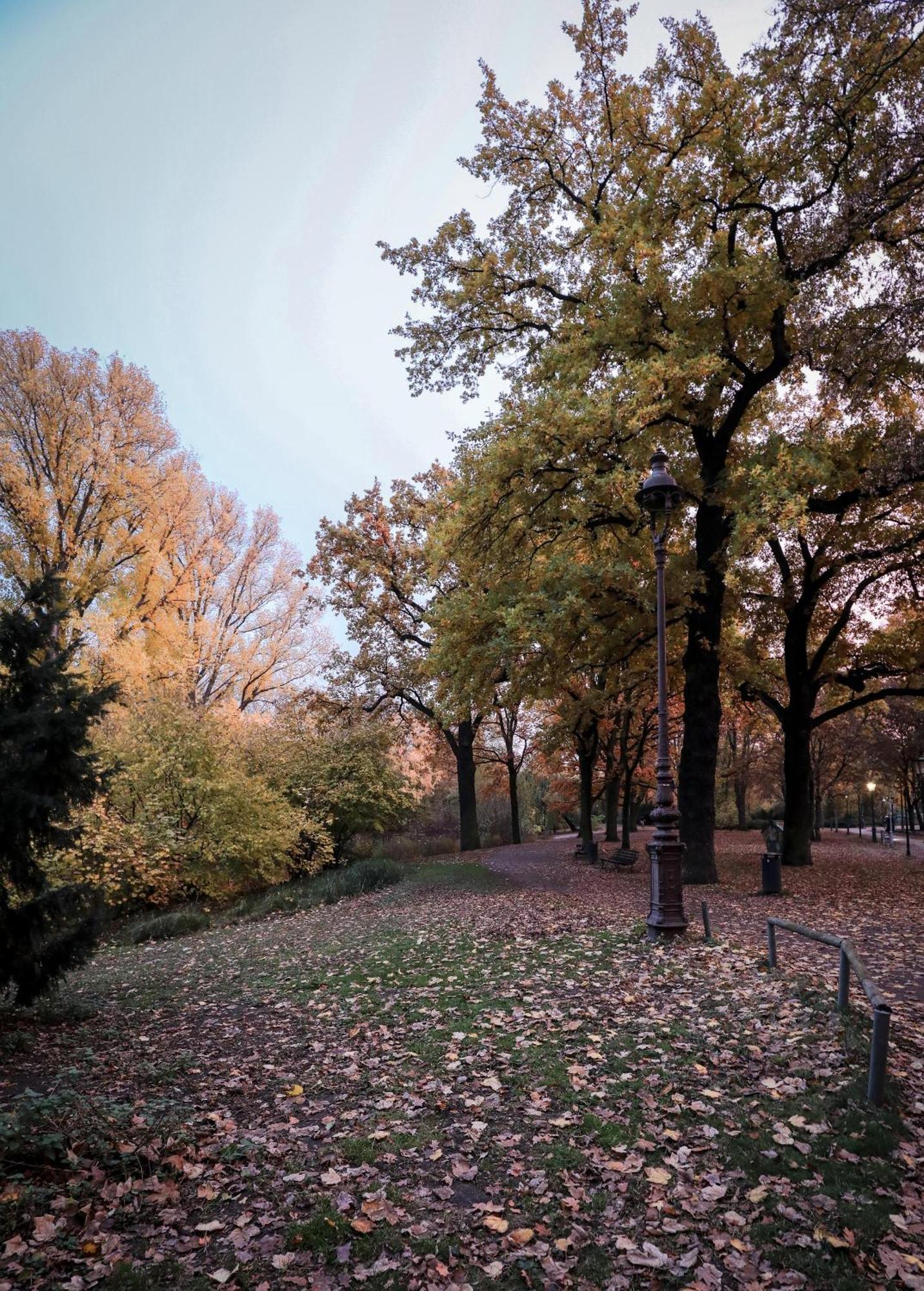 Kpm Hotel & Residences Berlin Luaran gambar Autumn in Central Park